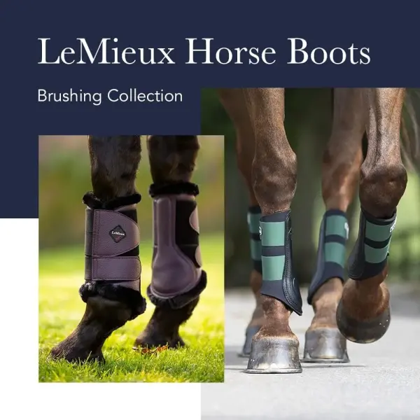 LeMieux Carbon Mesh Wrap Support Horse Boots - Protective Gear and Training Equipment - Equine Boots, Wraps & Accessories