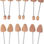 Cedar Elements Women's European Style Shoe Trees - 6 Pack