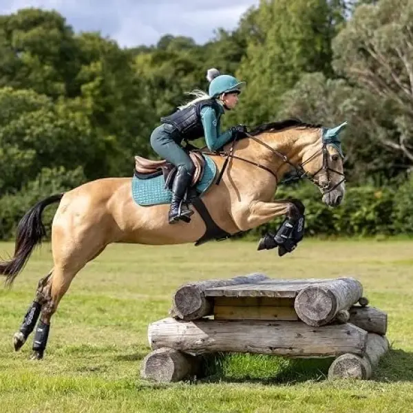 LeMieux Carbon Air XC Cross Country Hind Horse Boots - Protective Gear and Training Equipment - Equine Boots, Wraps & Accessories (Black/Medium)