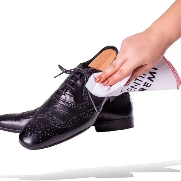 Shoe Care Kit – 6 Piece Set with Horsehair Brushes, Applicators & Cotton Cloth – Leather Shoe Cleaning & Polishing Kit – Made in Germany