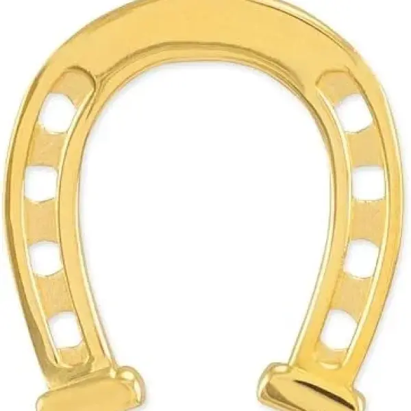 Solid 14k Yellow Gold Lucky Charm Horseshoe Pendant
