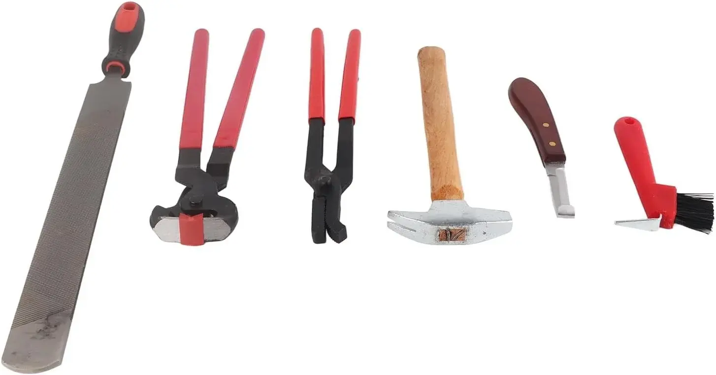 Haofy 6PCS Farrier Hoof Trim Tools, Alloy Professional Horseshoe Pliers, Durable Horseshoe File, Hoof Care Kit for Horses, Donkeys, Cows