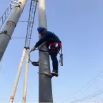 Upgraded Tree Climbing Spikes for Electricians - Non-Slip Climbing Shoes with Wooden Buckle - Ideal Footwear for Arborists & Tree Care Professionals (Model 450)