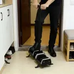 Shoe & Boot Scraper Brush with Handle - Efficient Mud Remover for Front Door, Garden & Outdoor Use