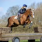 LeMieux Cross Country Front Horse Boots - Protective Gear and Training Equipment - Equine Boots, Wraps & Accessories