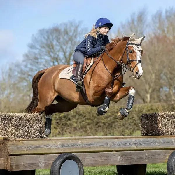 LeMieux Cross Country Front Horse Boots - Protective Gear and Training Equipment - Equine Boots, Wraps & Accessories